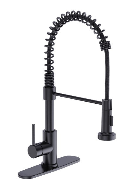 Kitchen Faucet  Coiled Sprayer  Matte Black