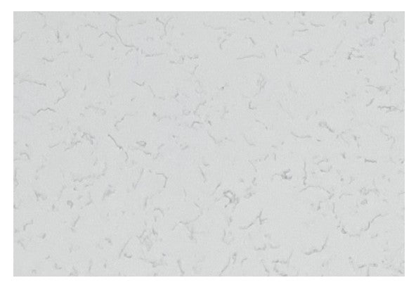 White Carrara Quartz Jumbo Slab 3200mm x 1600mm x 18mm